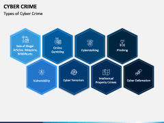 Cyber Crime Slide 3