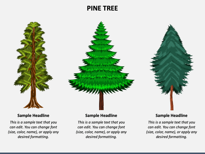 Pine Tree PowerPoint Template and Google Slides Theme