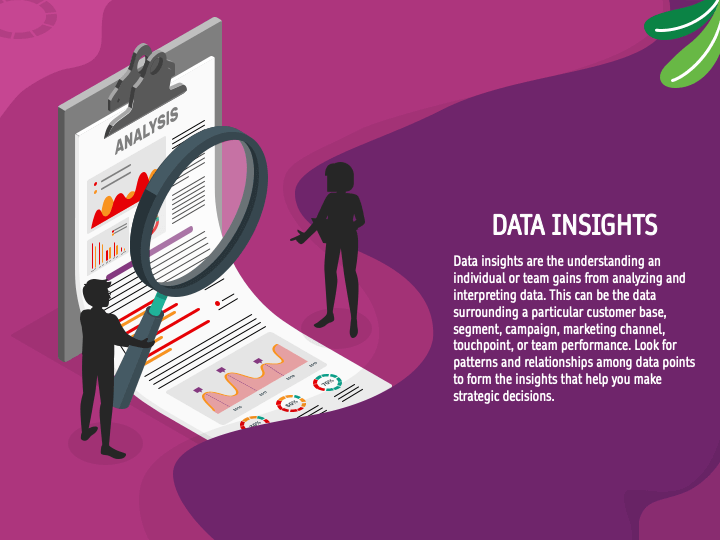 Data Insights PPT Slide 1