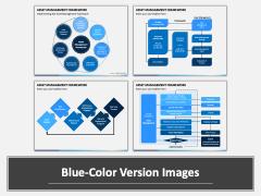 Asset Management Framework PPT Combined