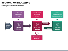 Information Processing PowerPoint and Google Slides Template - PPT Slides