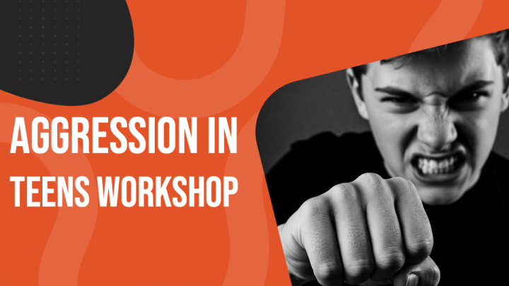 Aggression In Teens Workshop PPT Slide 1