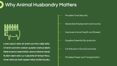 Animal Husbandry Presentation Theme PPT Slide 5