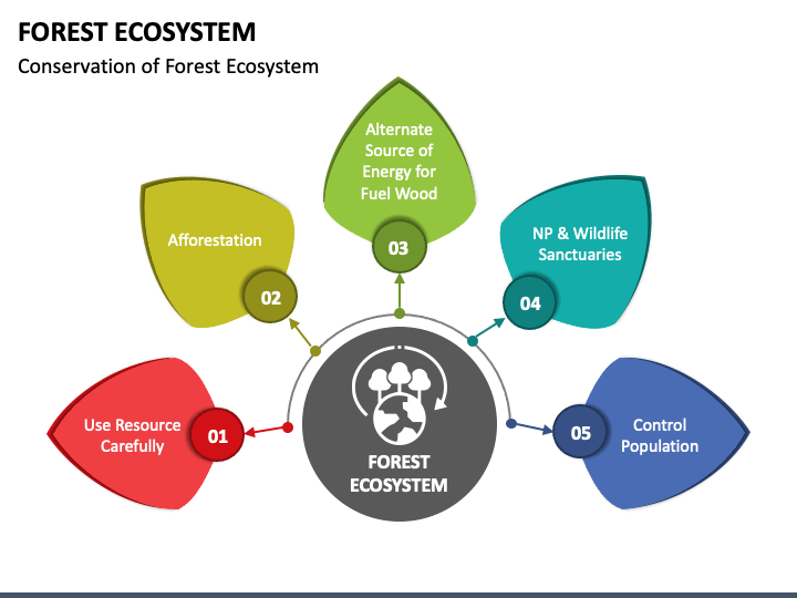Forest Ecosystem PPT Slide 1