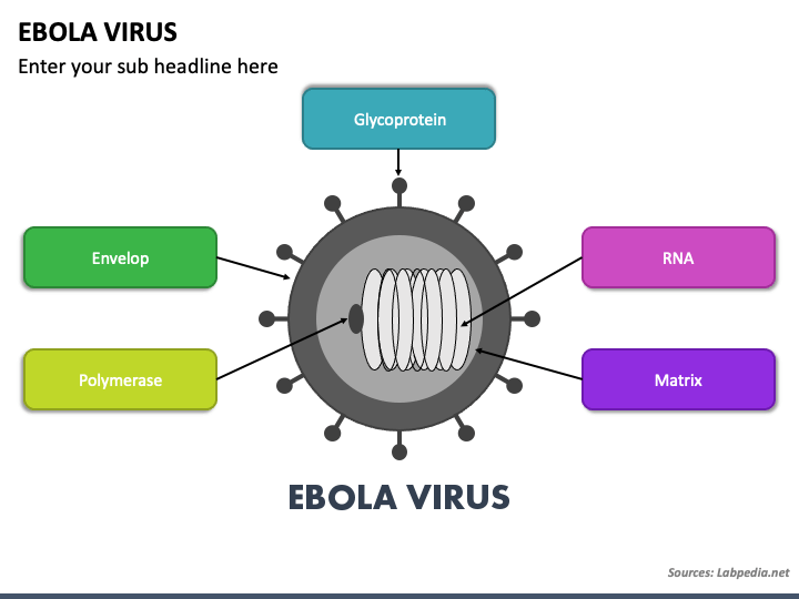 Ebola Virus PPT Slide 1