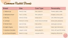 Rabbit Presentation Theme PPT Slide 6