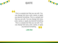 Brazil Independence Day PPT Slide 8