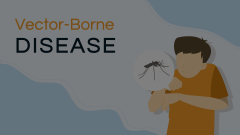 Vector-Borne Disease Animated Presentation - SketchBubble
