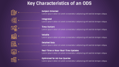 Operational Data Store PPT Slide 4