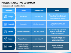 Project Executive Summary PowerPoint and Google Slides Template - PPT ...