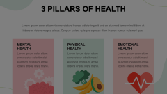 3 Pillars of Health Animated Presentation - SketchBubble