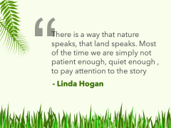 Nature Background Theme PPT Slide 10