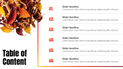 Dry Leaves Presentation Theme PPT Slide 2