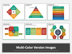 Integrated Audit Multicolor Combined