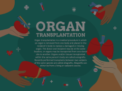 Organ Transplantation Animated Presentation - SketchBubble