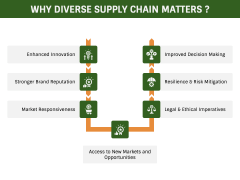 Diverse Supply Chain PPT Slide 3