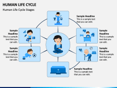 Human Life Cycle PPT Slide 1