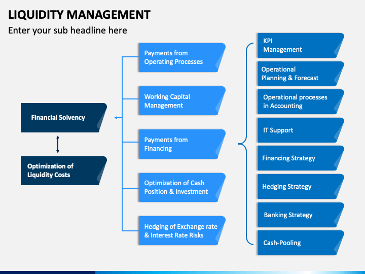 Liquidity Management PowerPoint And Google Slides Template - PPT Slides