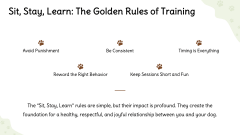 Dog Training Presentation Theme PPT Slide 6