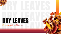 Dry Leaves Presentation Theme PPT Slide 1