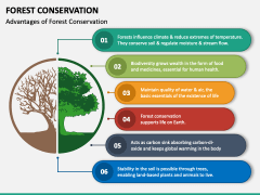 Forest Conservation PowerPoint and Google Slides Template - PPT Slides