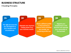 Business Structure PowerPoint and Google Slides Template - PPT Slides