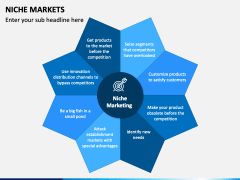 Niche Markets Slide 4