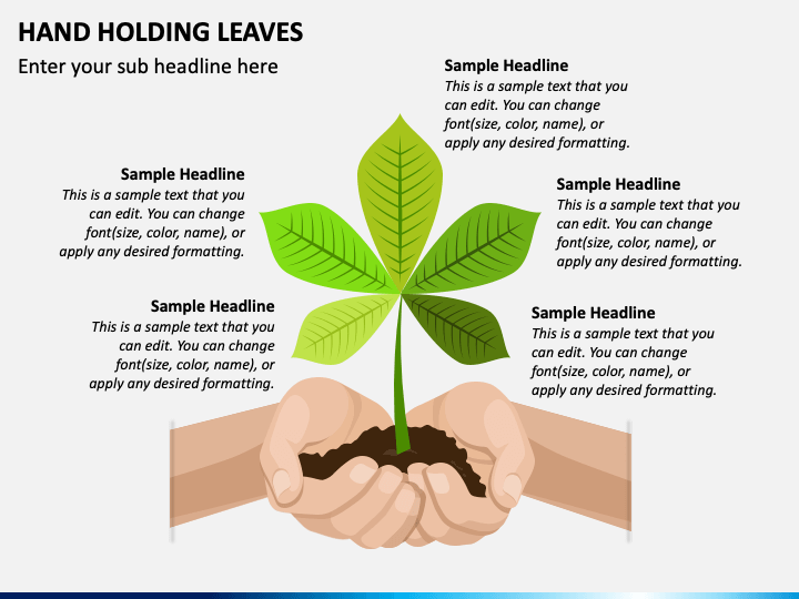 Hand Holding Leaves PPT Slide 1
