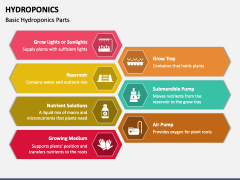 Hydroponics PPT Slide 4
