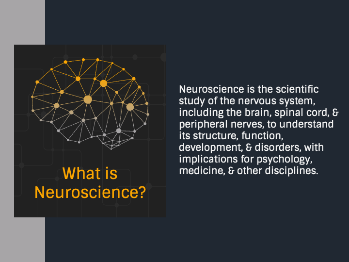 Neuroscience PowerPoint And Google Slides Template - PPT Slides