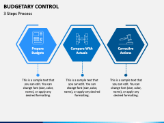 Budgetary Control PPT Slide 4