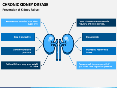 Chronic Kidney Disease PowerPoint Template - PPT Slides