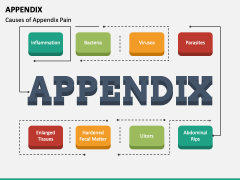 powerpoint presentation appendix