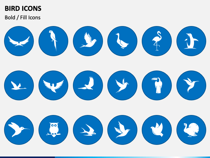Bird Icons PPT Slide 1