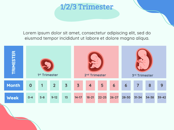 Free - Pregnant Women Care PowerPoint Template and Google Slides Theme