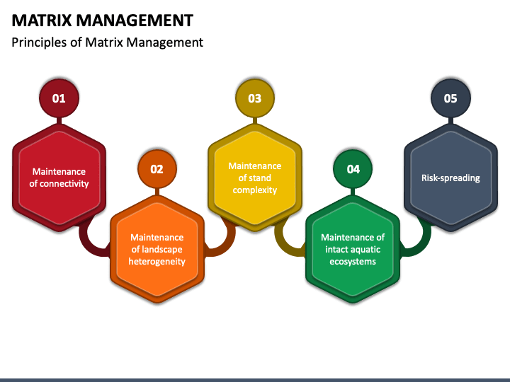 Matrix Management PPT Slide 1
