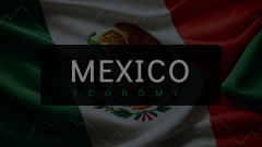 Economy of Mexico Animated Presentation - SketchBubble