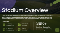 Cricket Stadium Background Theme PPT Slide 4