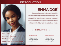 CEO Profile PPT Slide 4