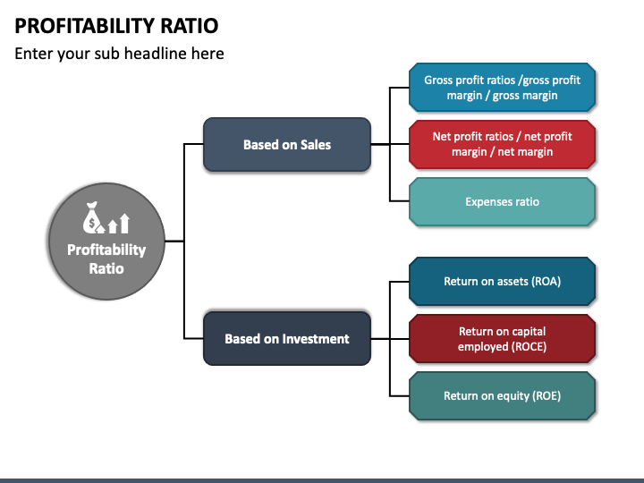 Profitability Ratio PPT Slide 1