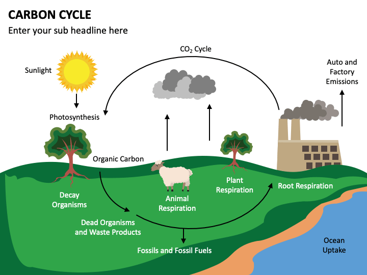 Carbon Cycle PowerPoint Template - PPT Slides