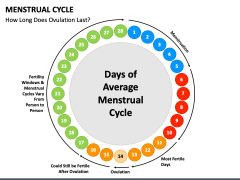 Free Menstrual Cycle Powerpoint And Google Slides Template - Ppt Slides