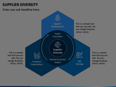 Supplier Diversity PowerPoint and Google Slides Template - PPT Slides