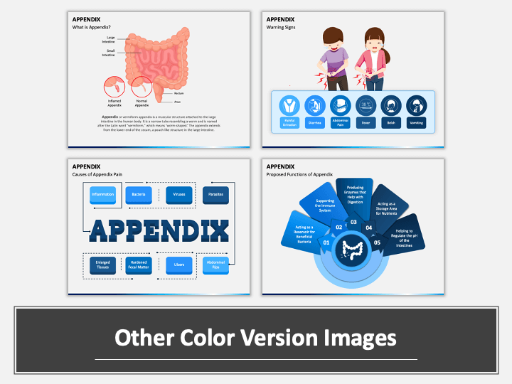 Appendix PowerPoint and Google Slides Template - PPT Slides