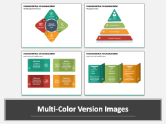 Fundamentals of Management Multicolor Combined