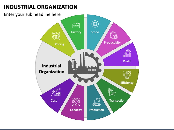 Industrial Organization PPT Slide 1