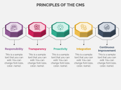 Compliance Management System PPT Slide 3