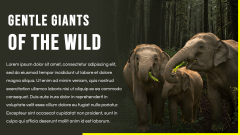 Elephant Theme PPT Slide 3