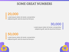 Solar New Year PPT Slide 13