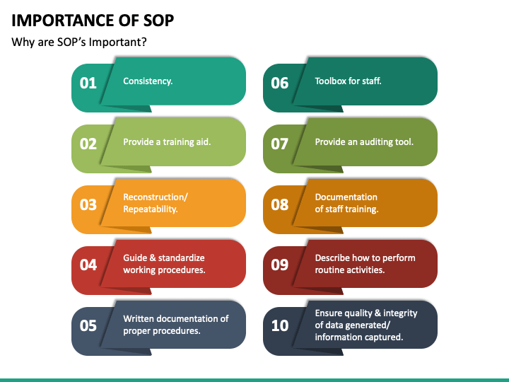Importance of SOP PowerPoint and Google Slides Template PPT Slides
